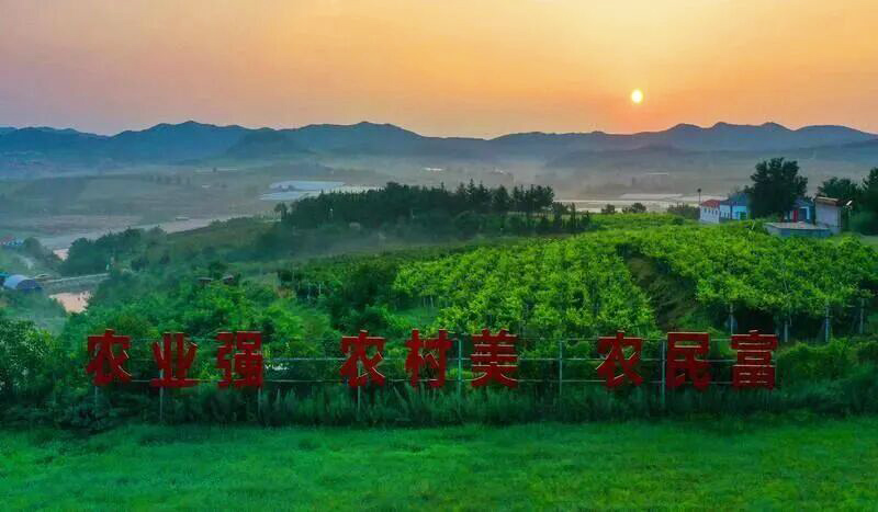 六六顺龙口粉丝闪耀2025中国农民丰收节，共庆丰收喜悦！